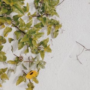 Meet your Posher, Ash